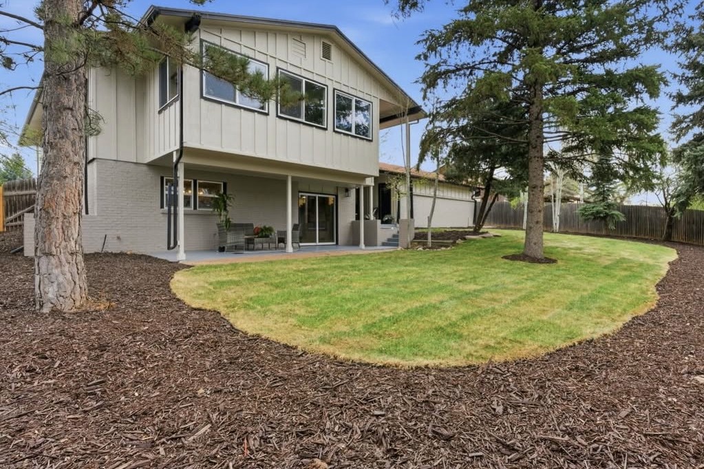 Backyard with new sod and tall pine trees